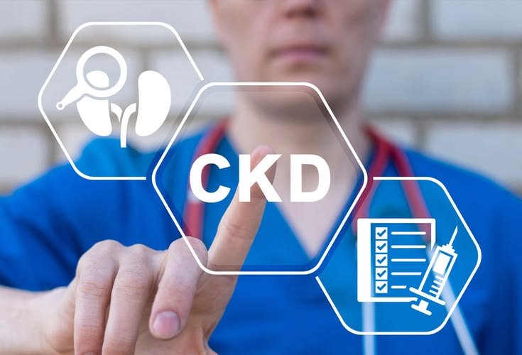 the role of diet in the treatment of chronic kidney disease